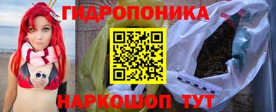 СК Кандалакша