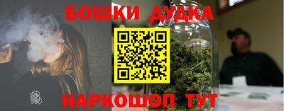 СК Кандалакша