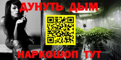 крисы Аргун