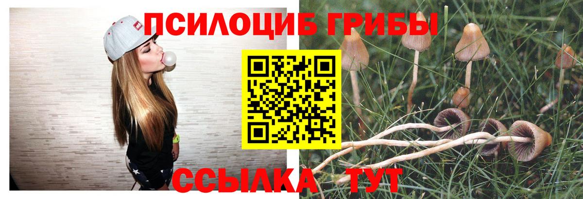 Псилоцибиновые грибы мицелий  Вход с VPN  Лесозаводск 